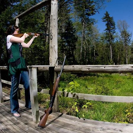 Allegheny Springs Snowshoe Dış mekan fotoğraf