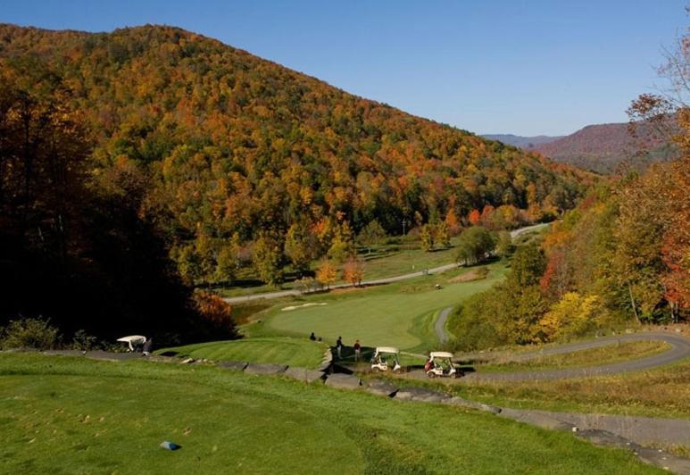 Allegheny Springs Snowshoe Dış mekan fotoğraf