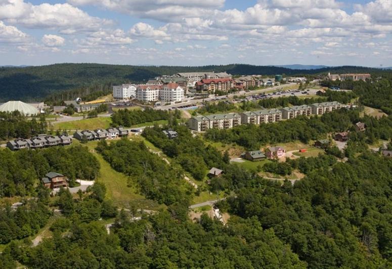 Allegheny Springs Snowshoe Dış mekan fotoğraf