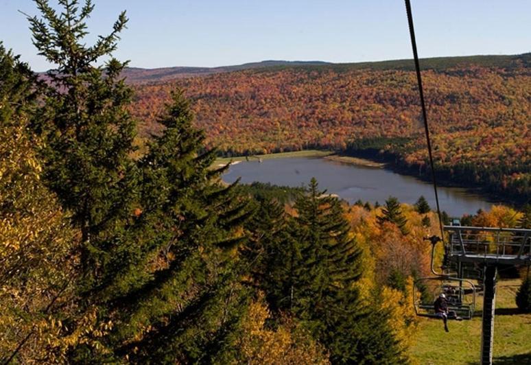 Allegheny Springs Snowshoe Dış mekan fotoğraf