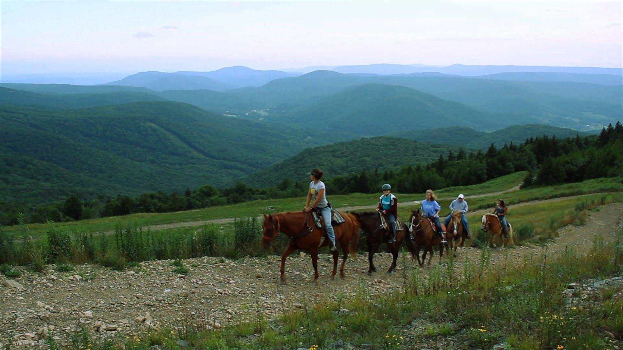 Allegheny Springs Snowshoe Dış mekan fotoğraf
