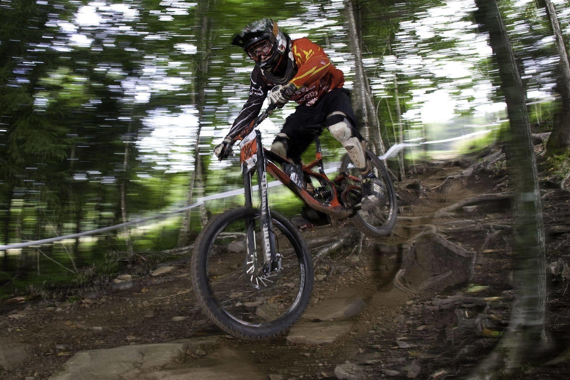 Allegheny Springs Snowshoe Dış mekan fotoğraf