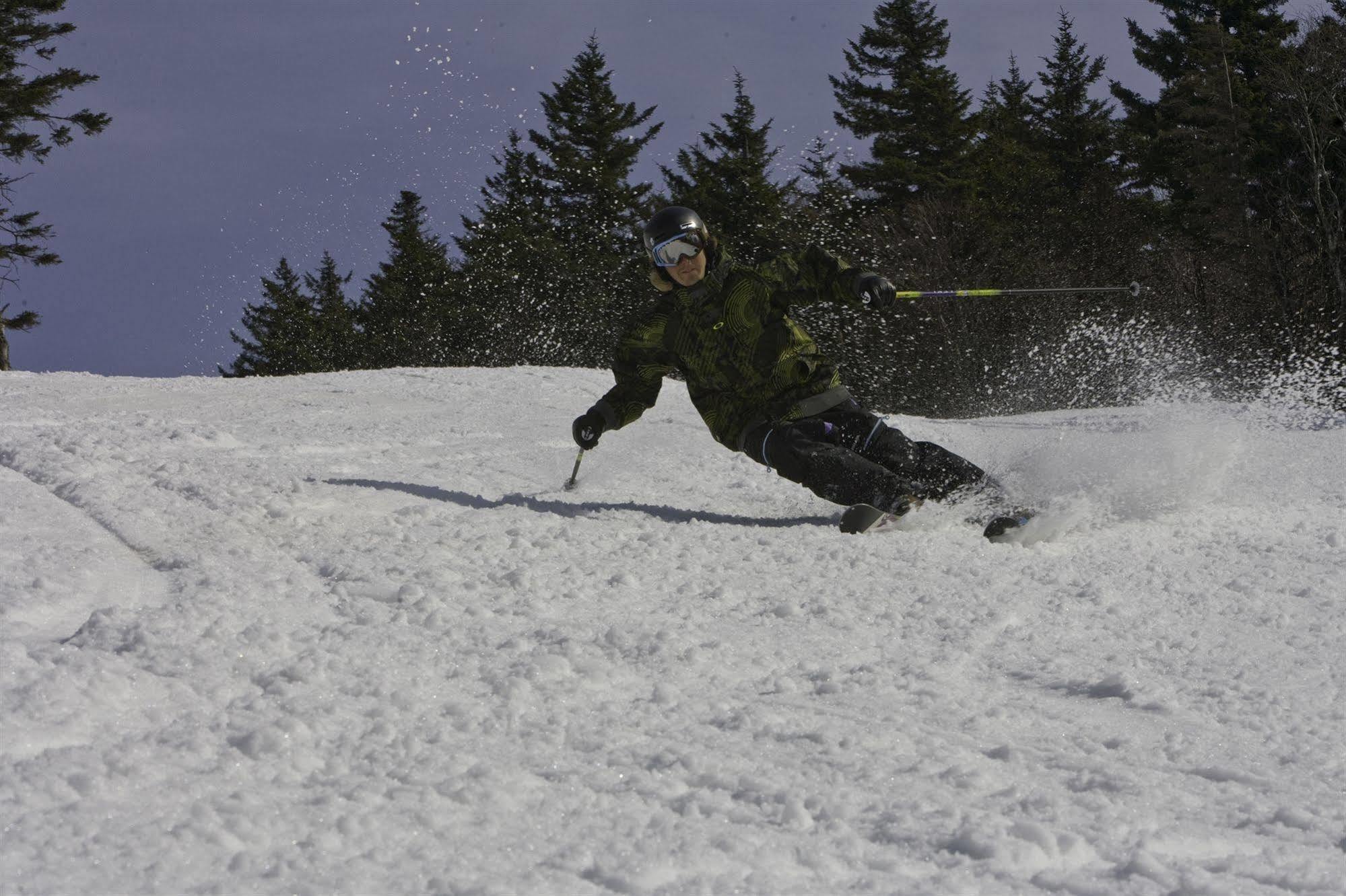Allegheny Springs Snowshoe Dış mekan fotoğraf