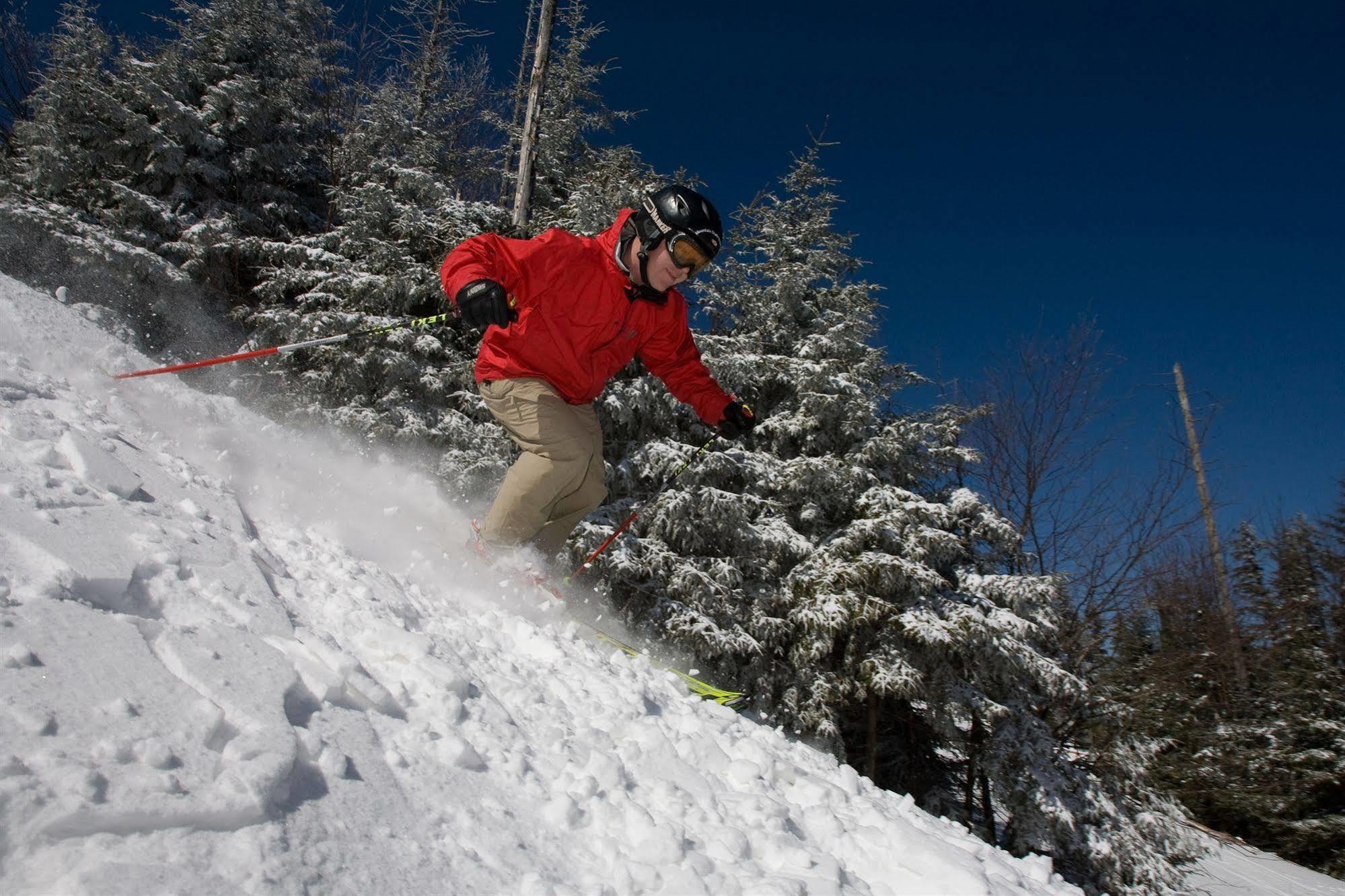 Allegheny Springs Snowshoe Dış mekan fotoğraf